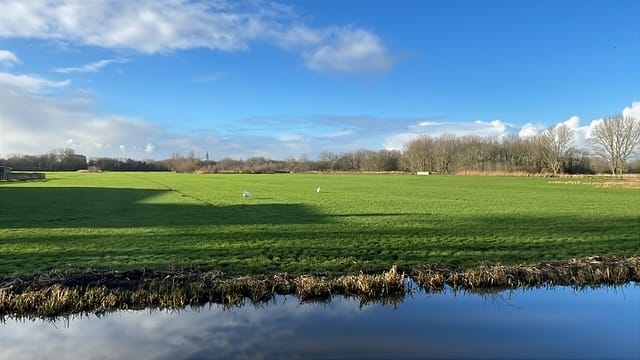 Photo 38 of Hoflaan 25