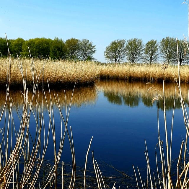 Photo 39 of Hoflaan 25