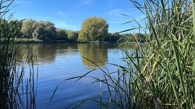 Foto 40 van Hoflaan 25