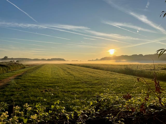 Photo 42 of Hoflaan 25