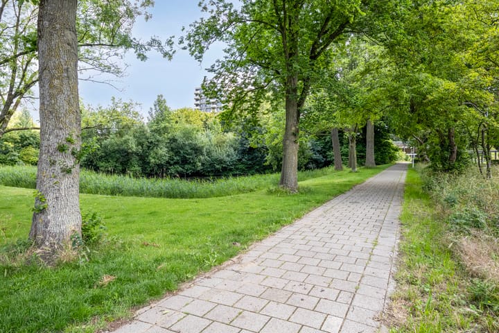 Foto 23 van Mariaplaats 20