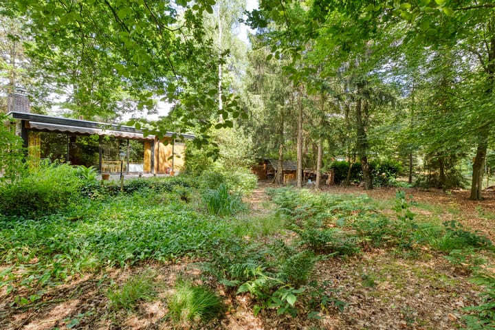 Foto 32 van Oude Hammerweg 12-A38