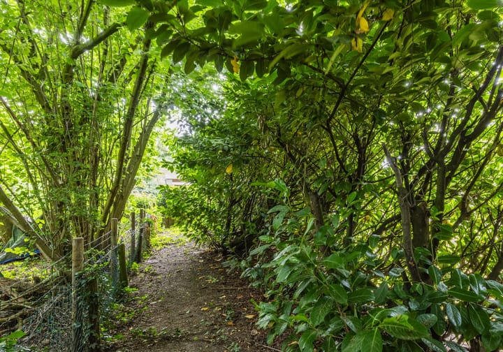 Foto 33 van van Steenhuijslaan 7