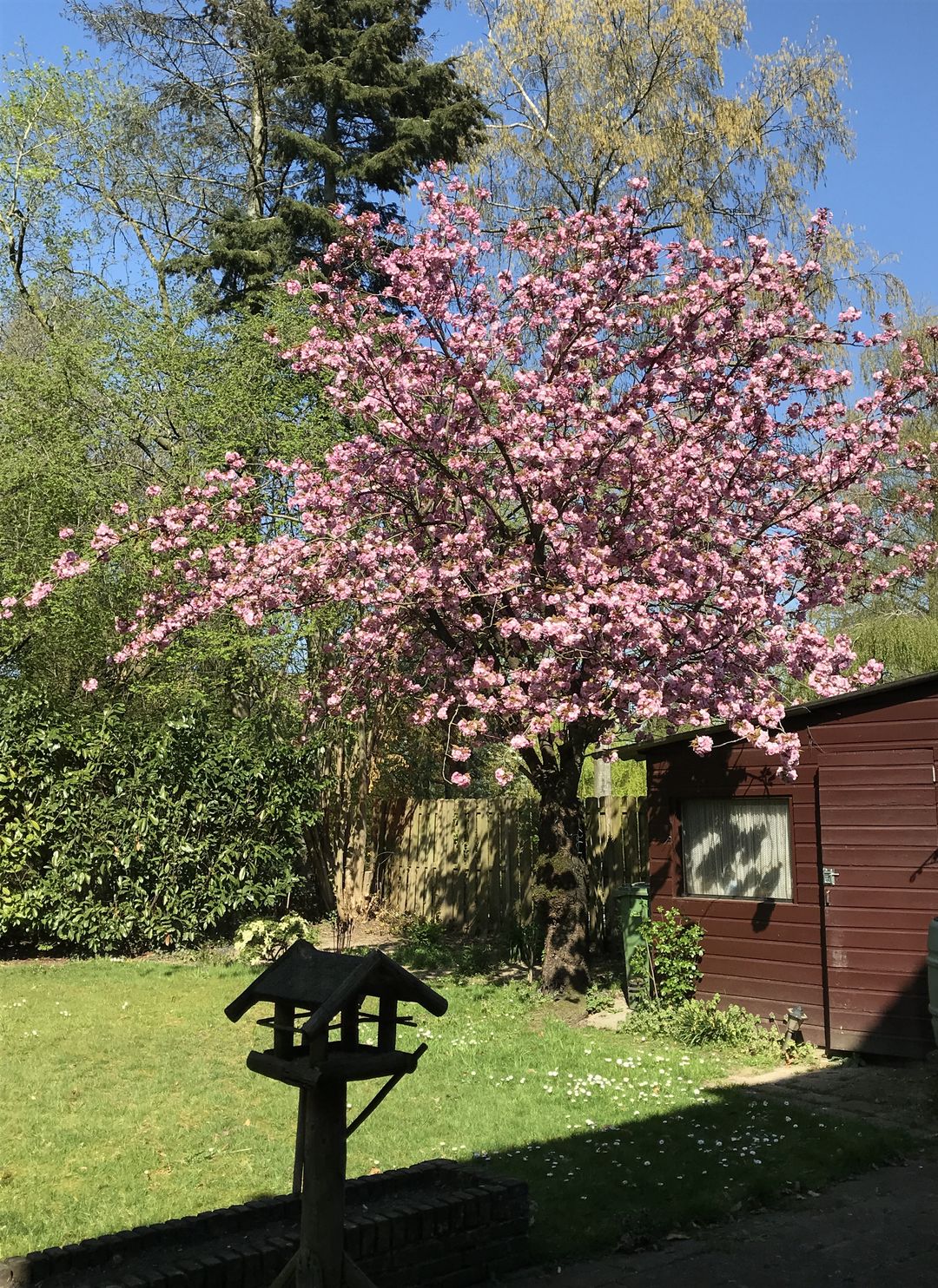 Foto 38 van van Steenhuijslaan 7