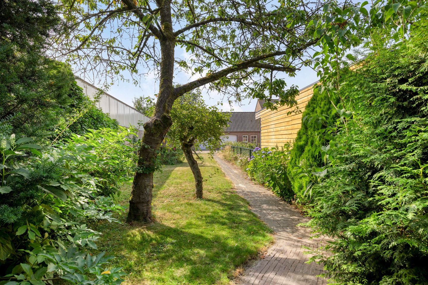 Foto 35 van Koestraat 6