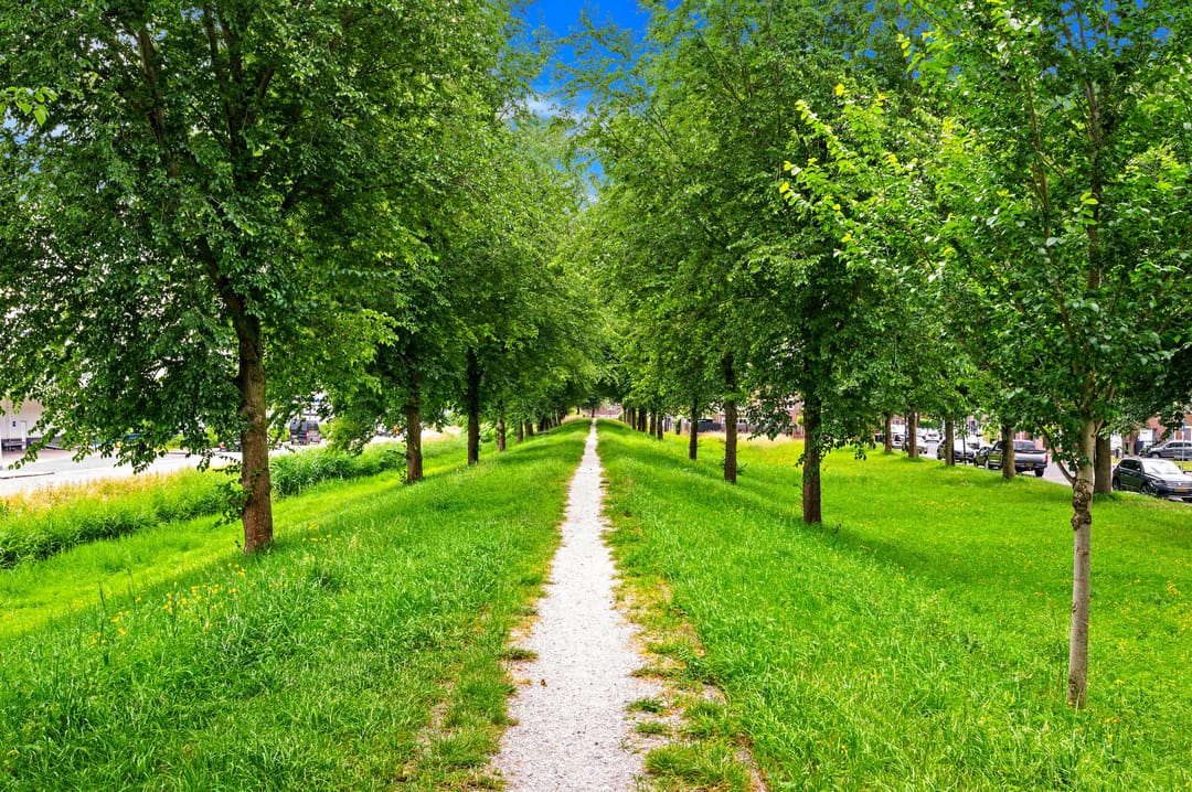 Foto 61 van Fie Carelsenlaan 75