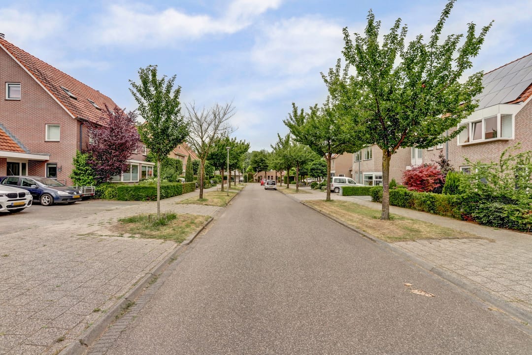 Foto 2 van Groene Specht 11