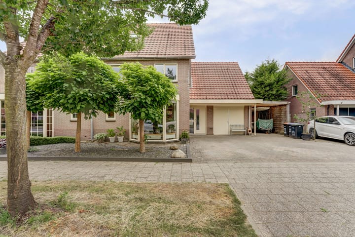 Foto 3 van Groene Specht 11