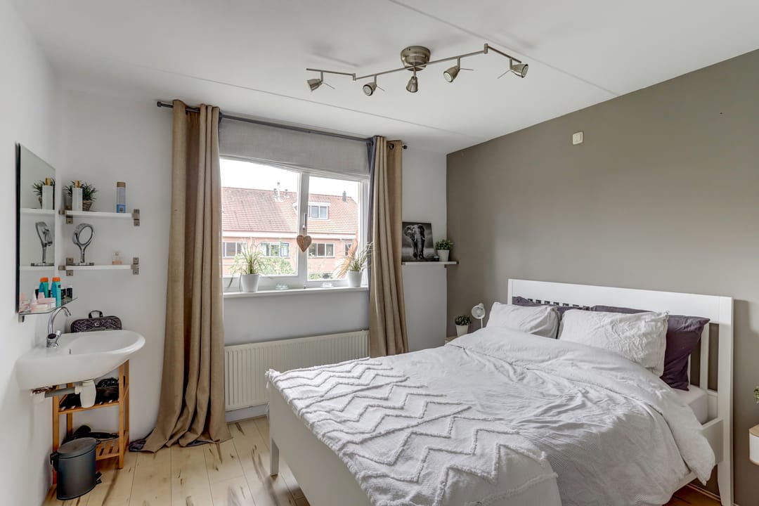 Foto 11 van Groene Specht 11