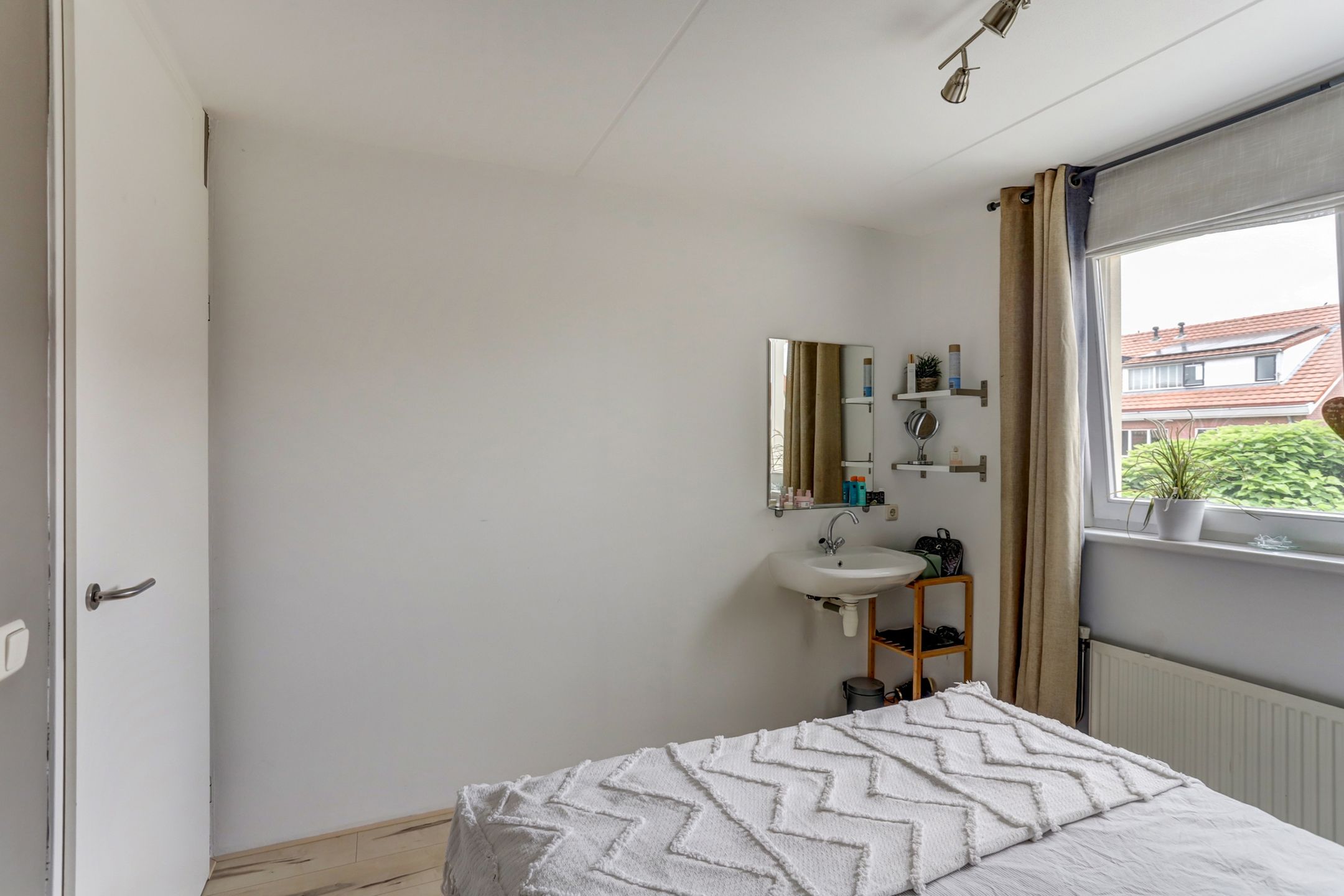 Foto 12 van Groene Specht 11