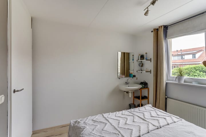 Foto 12 van Groene Specht 11