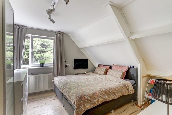 Foto 13 van Groene Specht 11