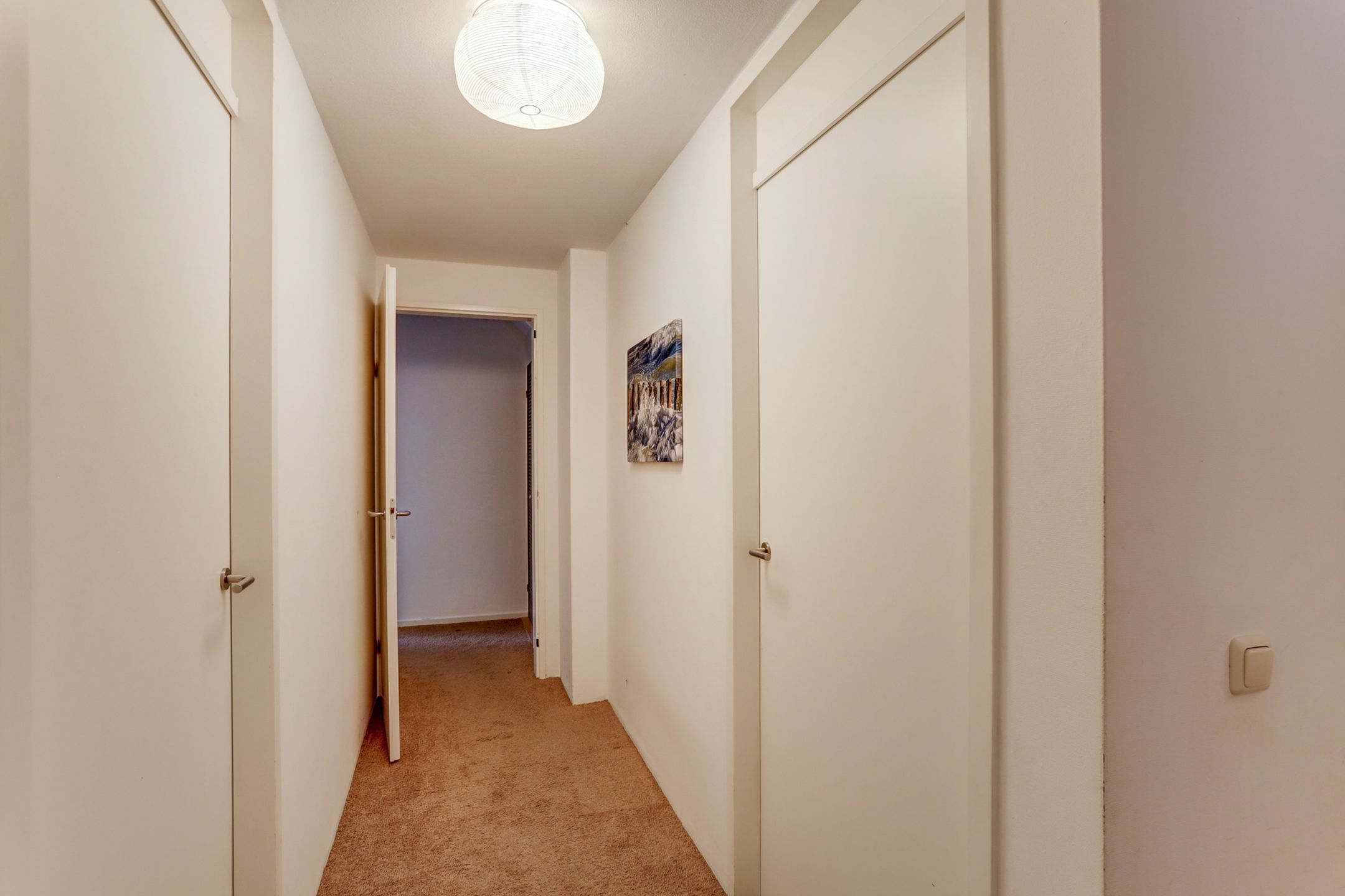 Foto 15 van Groene Specht 11