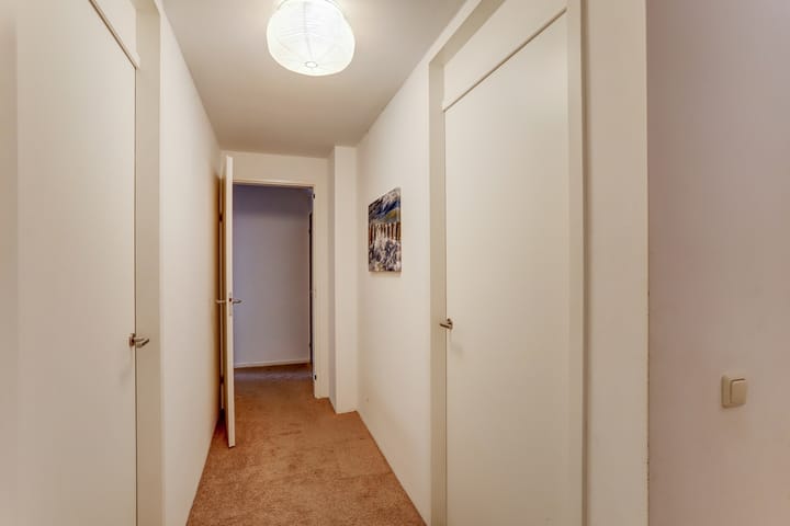 Foto 15 van Groene Specht 11