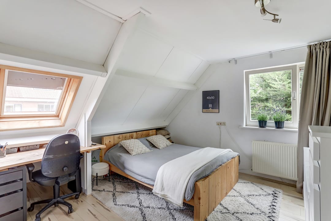 Foto 16 van Groene Specht 11