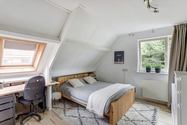 Foto 16 van Groene Specht 11