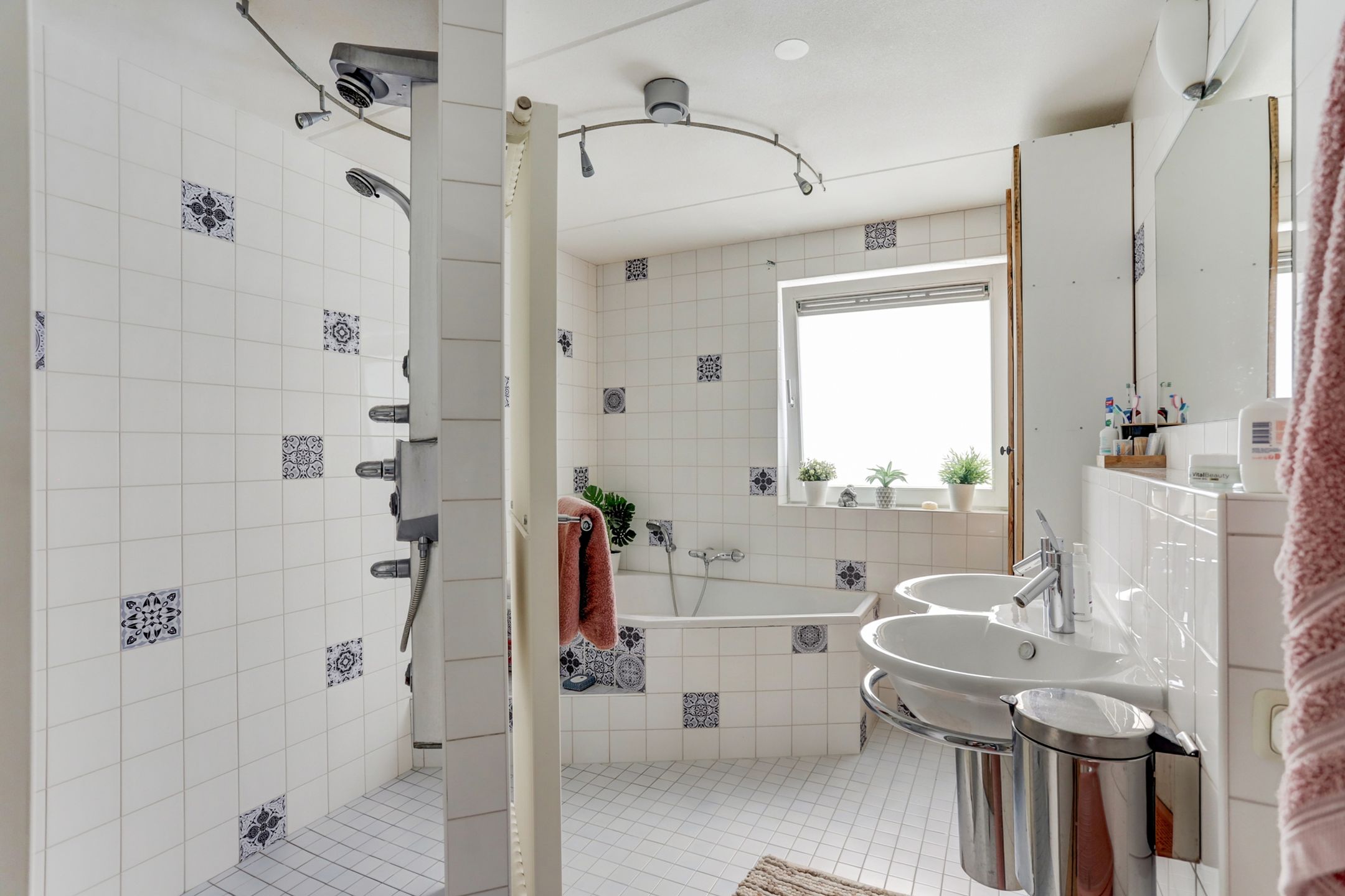 Foto 18 van Groene Specht 11