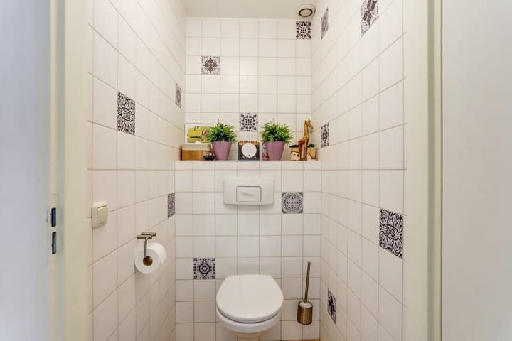 Foto 20 van Groene Specht 11