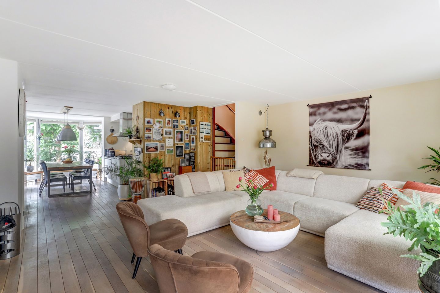 Foto 5 van Groene Specht 11