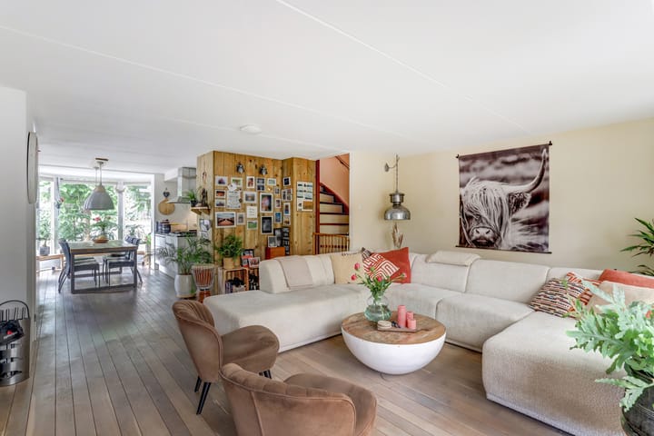 Foto 5 van Groene Specht 11