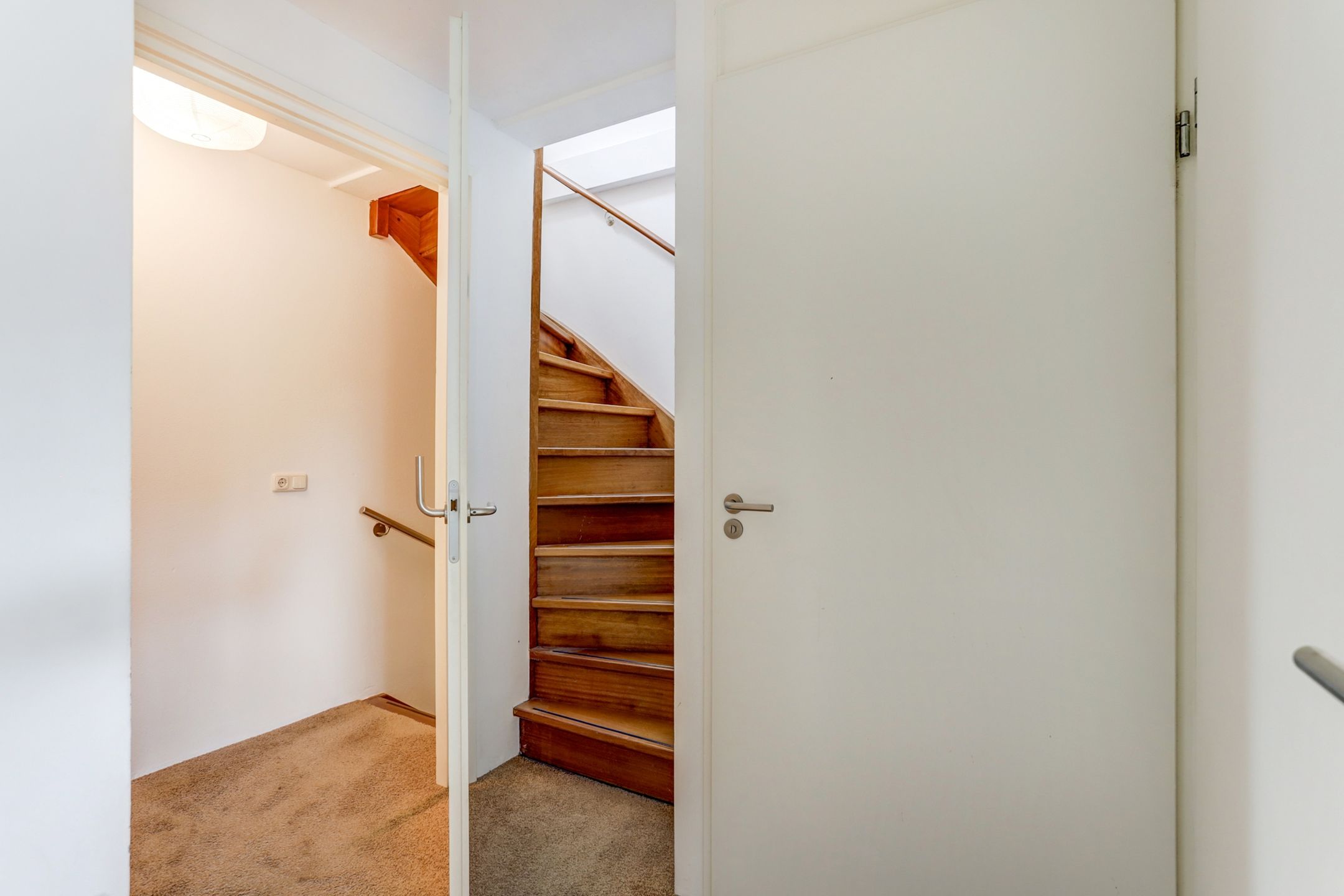 Foto 21 van Groene Specht 11