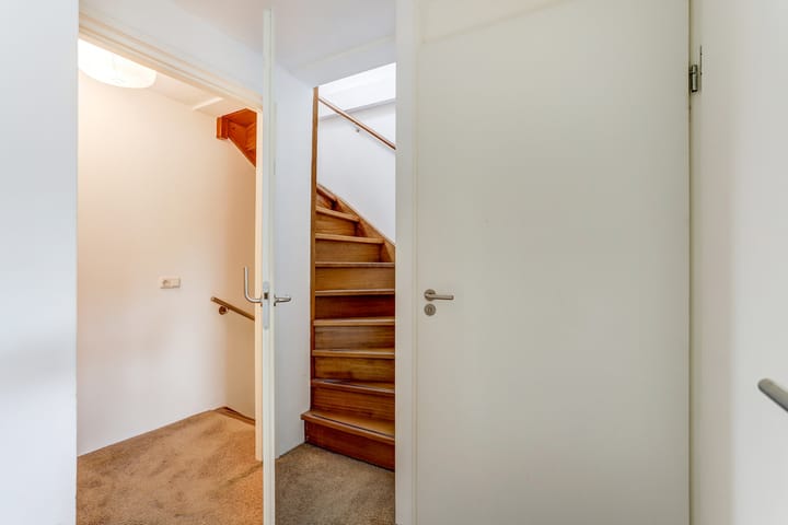 Foto 21 van Groene Specht 11