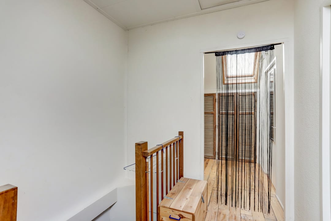 Foto 22 van Groene Specht 11