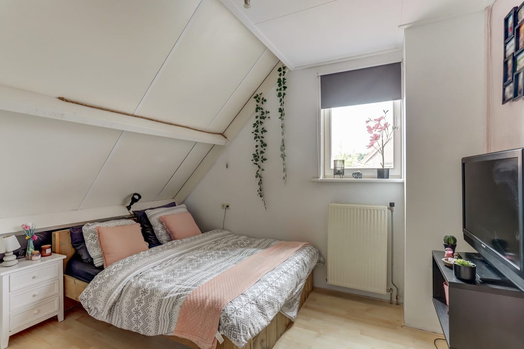 Foto 23 van Groene Specht 11