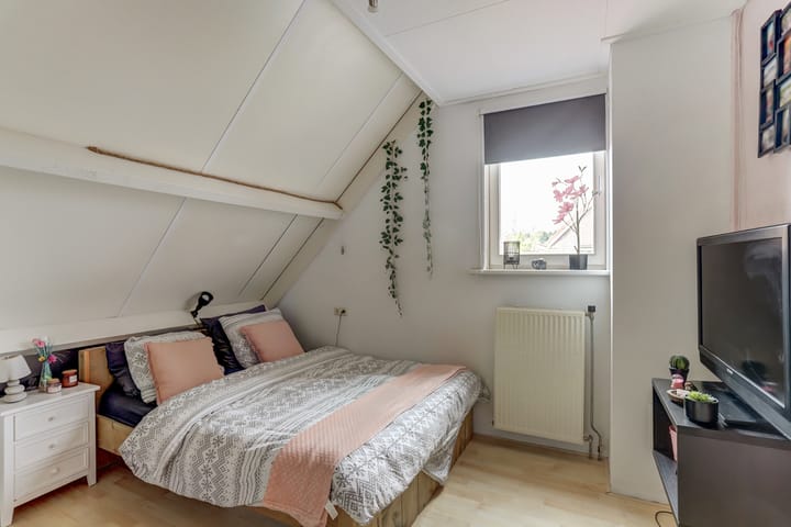 Foto 23 van Groene Specht 11