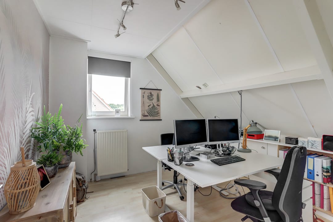 Foto 26 van Groene Specht 11