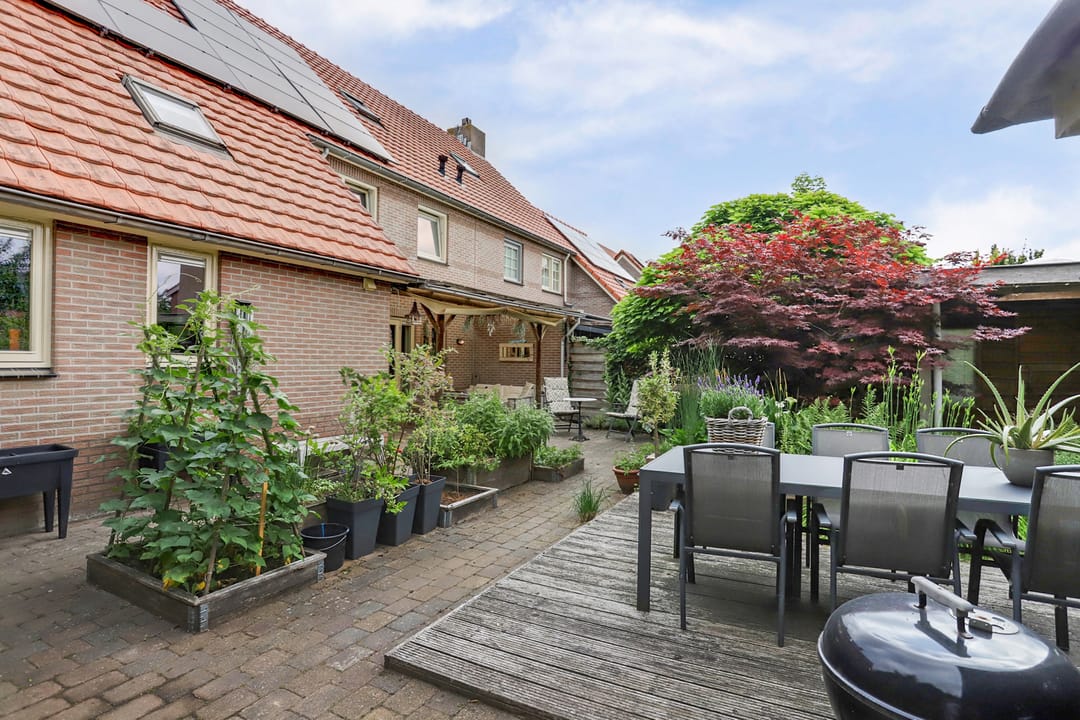 Foto 28 van Groene Specht 11