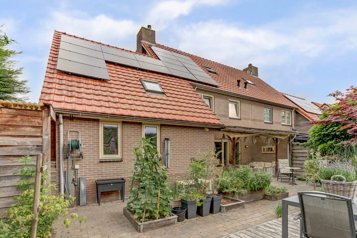 Foto 29 van Groene Specht 11