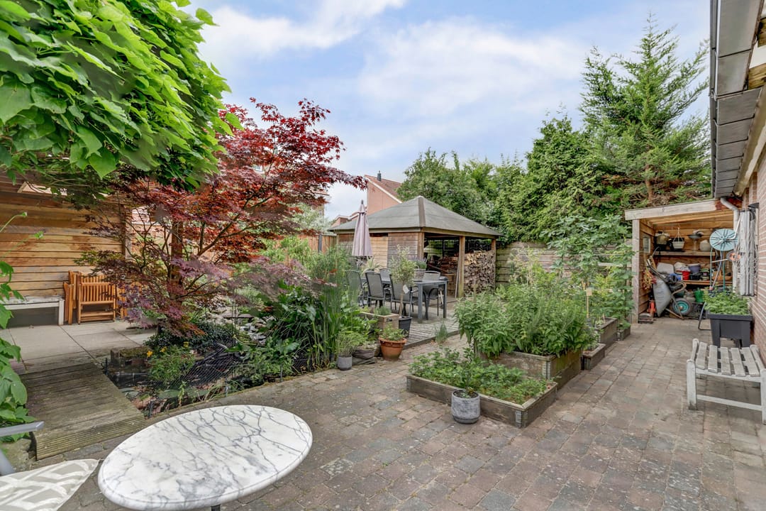 Foto 31 van Groene Specht 11