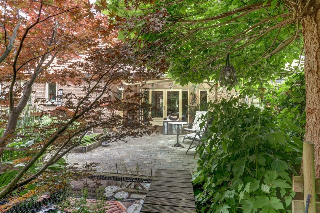 Foto 32 van Groene Specht 11