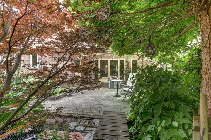 Foto 32 van Groene Specht 11