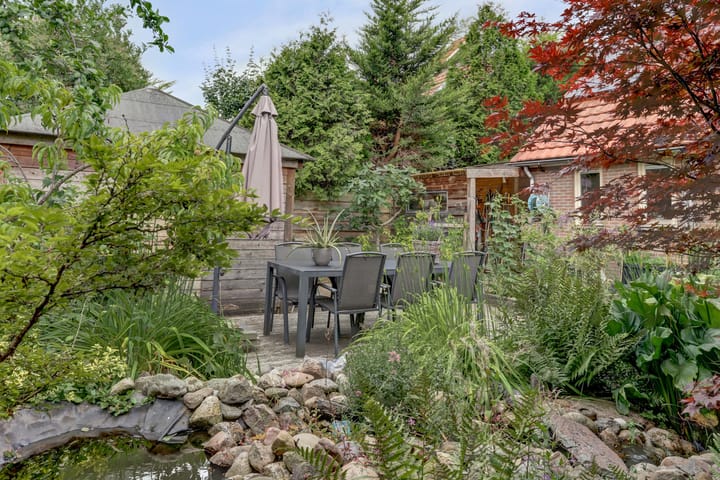 Foto 34 van Groene Specht 11