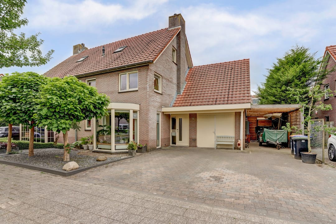 Foto 1 van Groene Specht 11