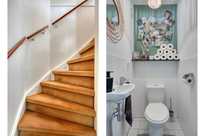 Foto 6 van Kokmeeuw 2