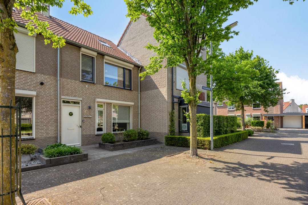 Foto 22 van Kokmeeuw 2