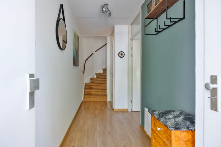 Photo 5 of Kokmeeuw 2