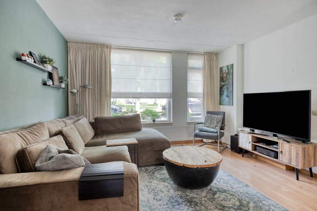 Foto 7 van Kokmeeuw 2