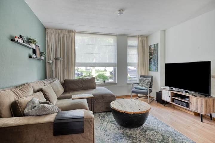 Foto 7 van Kokmeeuw 2