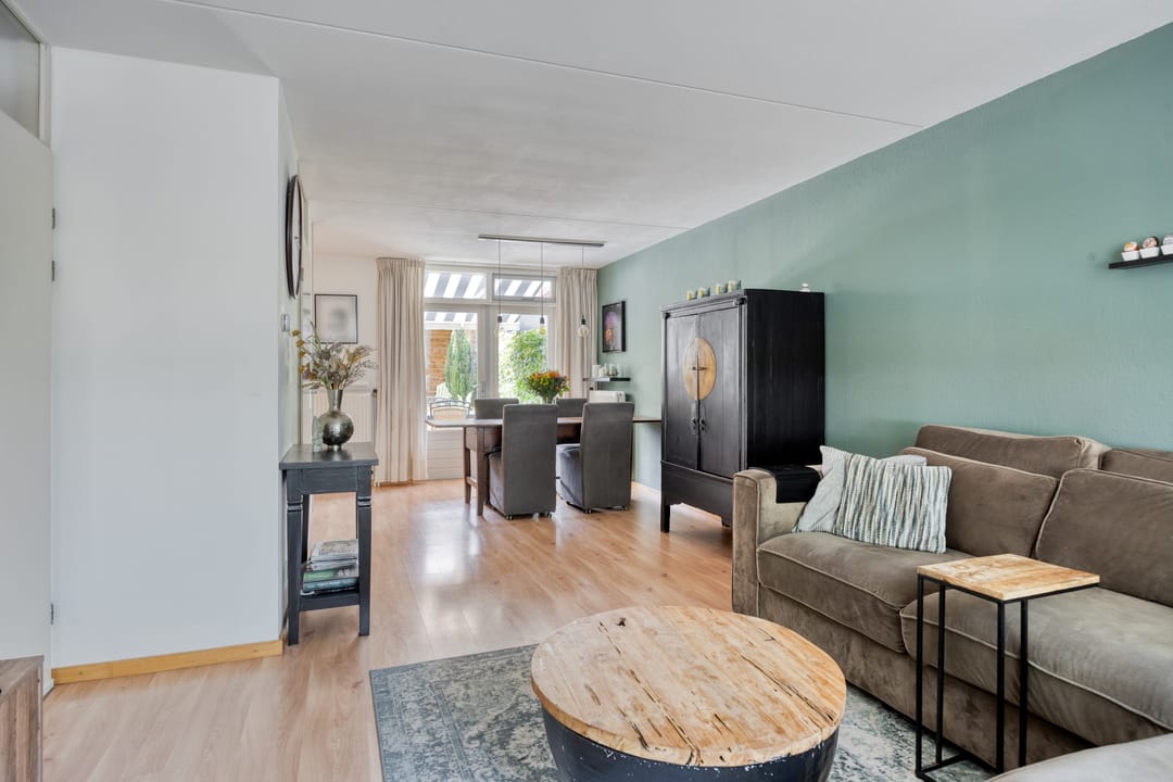 Foto 8 van Kokmeeuw 2