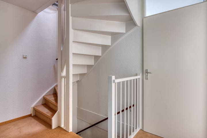 Foto 12 van Kokmeeuw 2