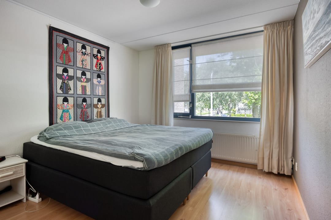 Foto 13 van Kokmeeuw 2