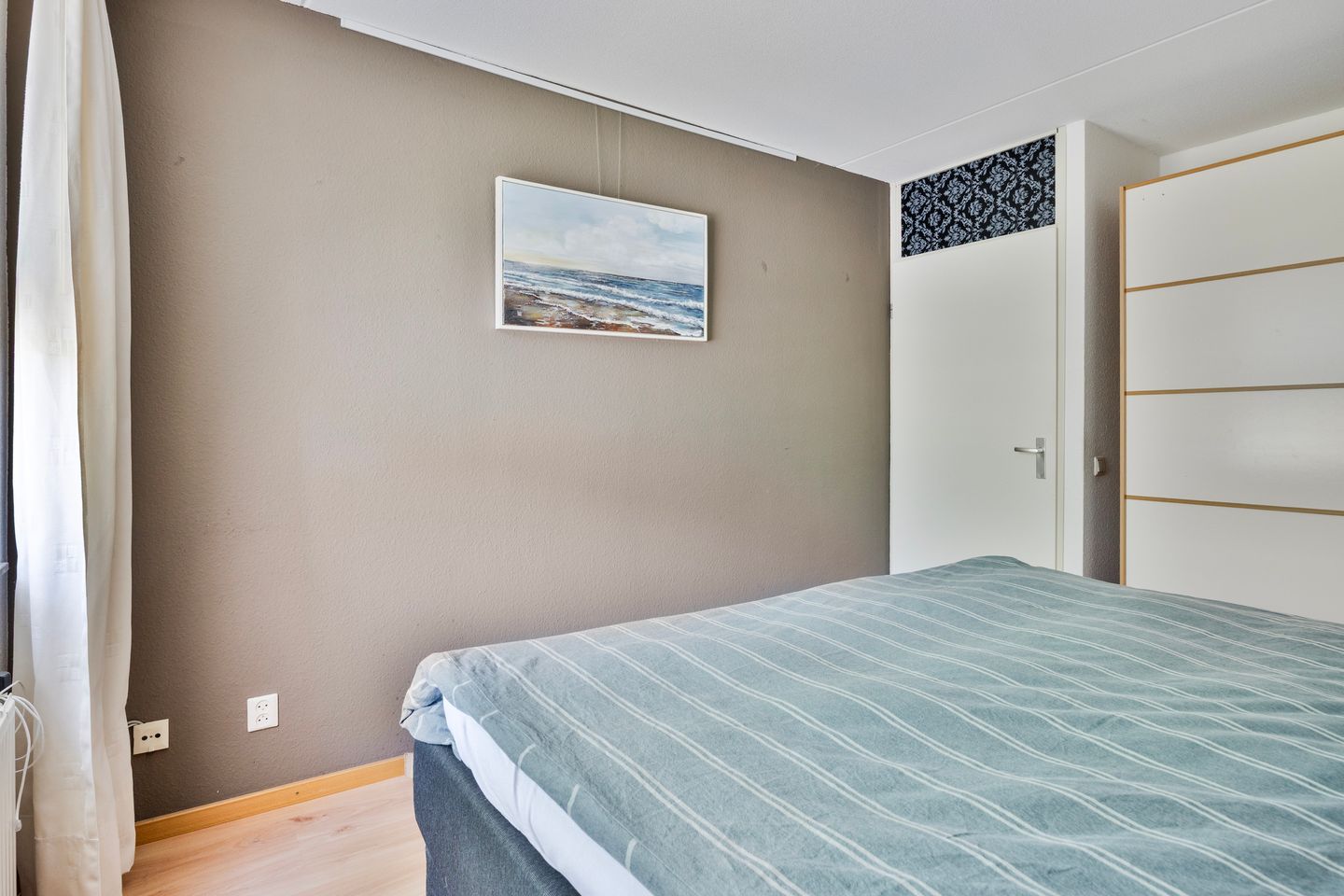 Foto 14 van Kokmeeuw 2