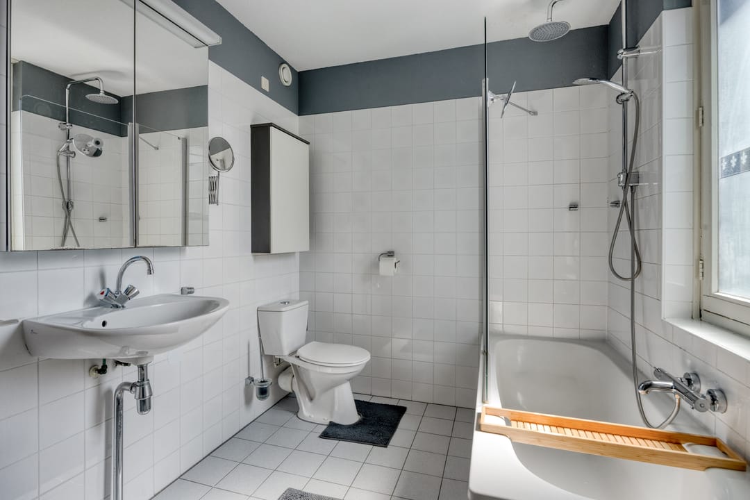 Foto 17 van Kokmeeuw 2