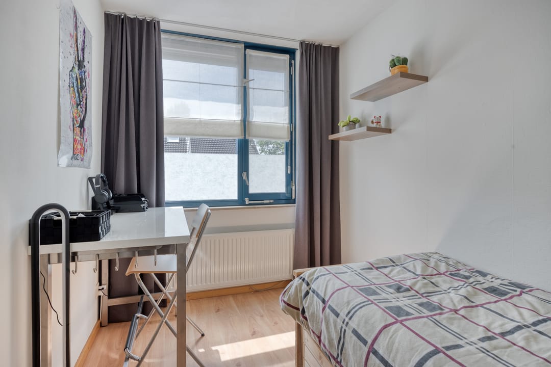 Foto 16 van Kokmeeuw 2