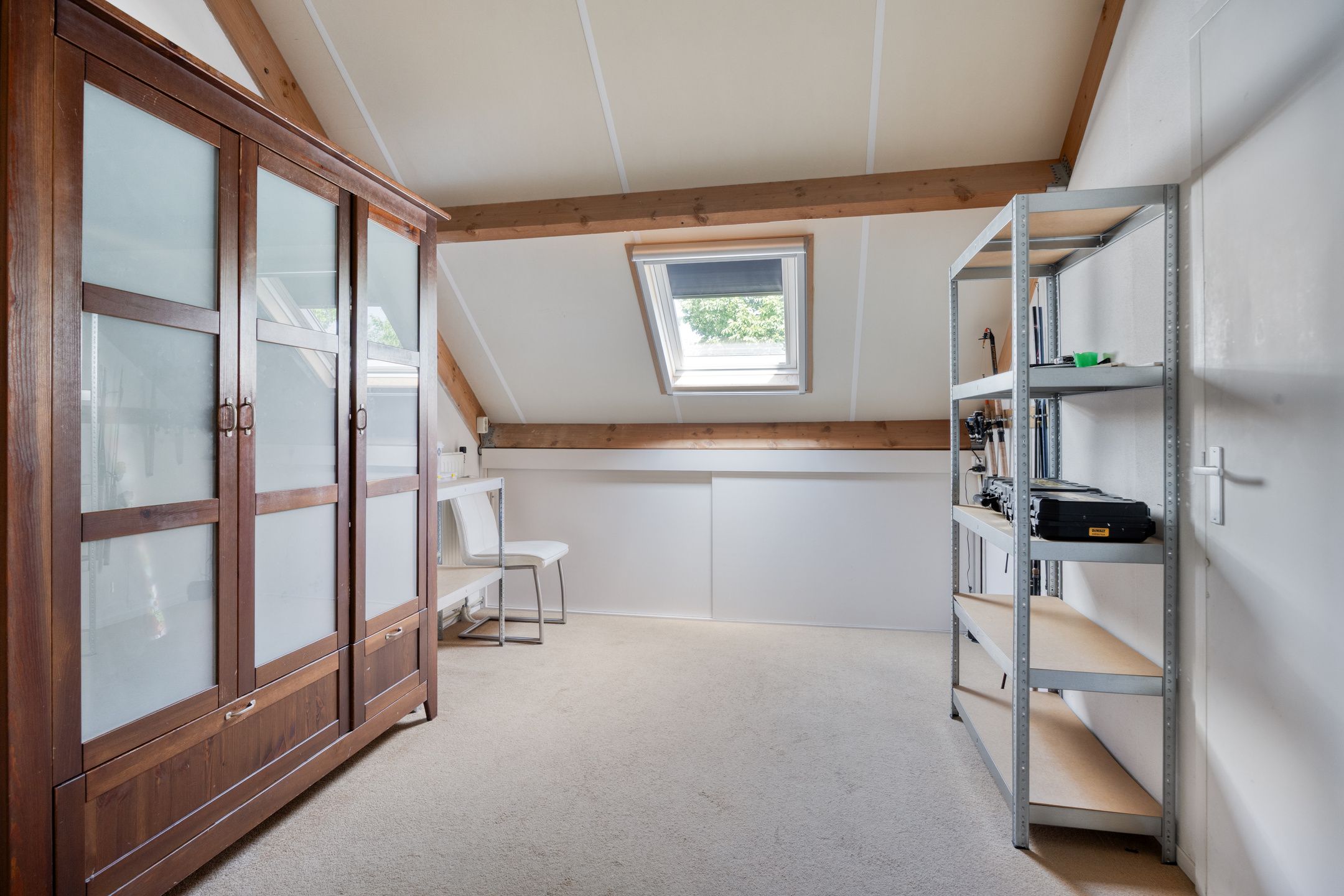 Foto 18 van Kokmeeuw 2