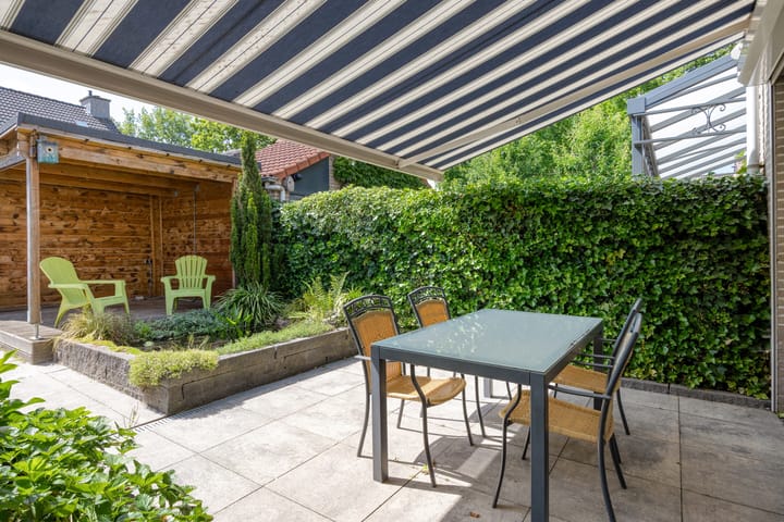 Foto 19 van Kokmeeuw 2